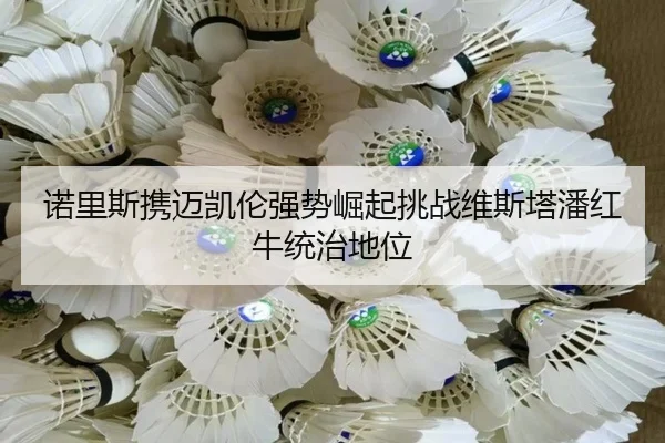 nuo-li-si-xie-mai-kai-lun-qiang-shi-jue-qi-tiao-zhan-wei-si-ta-pan-hong-niu-tong-zhi-di-wei-2-482.jpg