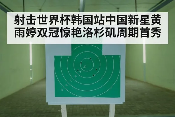 air rifle target